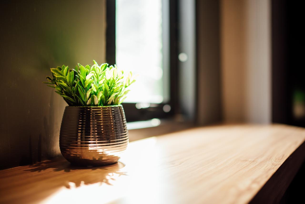 Le Terrarium Bed & Sleep Chiang Rai Ξενοδοχείο Εξωτερικό φωτογραφία
